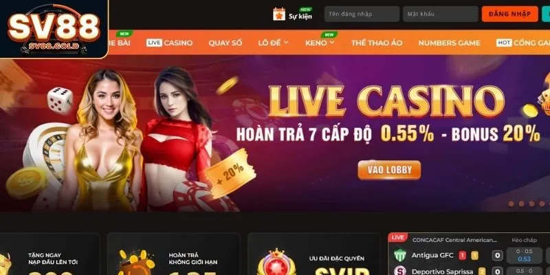 Những điều cần lưu ý cho người mới bắt đầu game bài